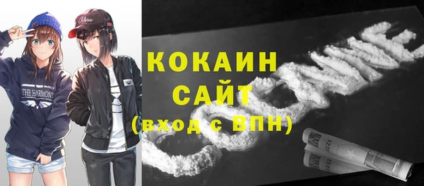 гидропоника Пересвет