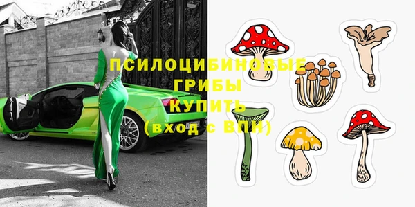 спиды Переславль-Залесский
