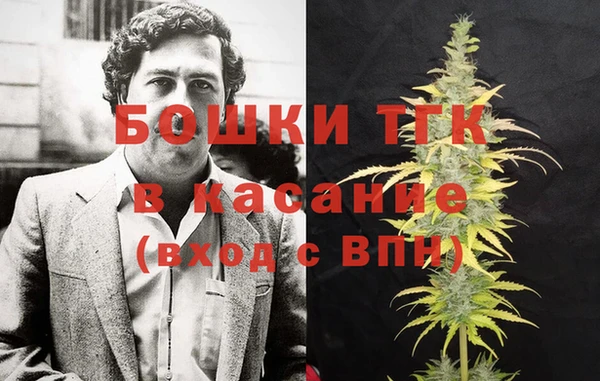 мдпв Заводоуковск