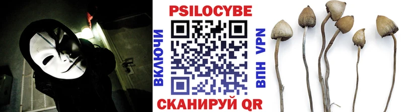 Галлюциногенные грибы Psilocybine cubensis  Сегежа 