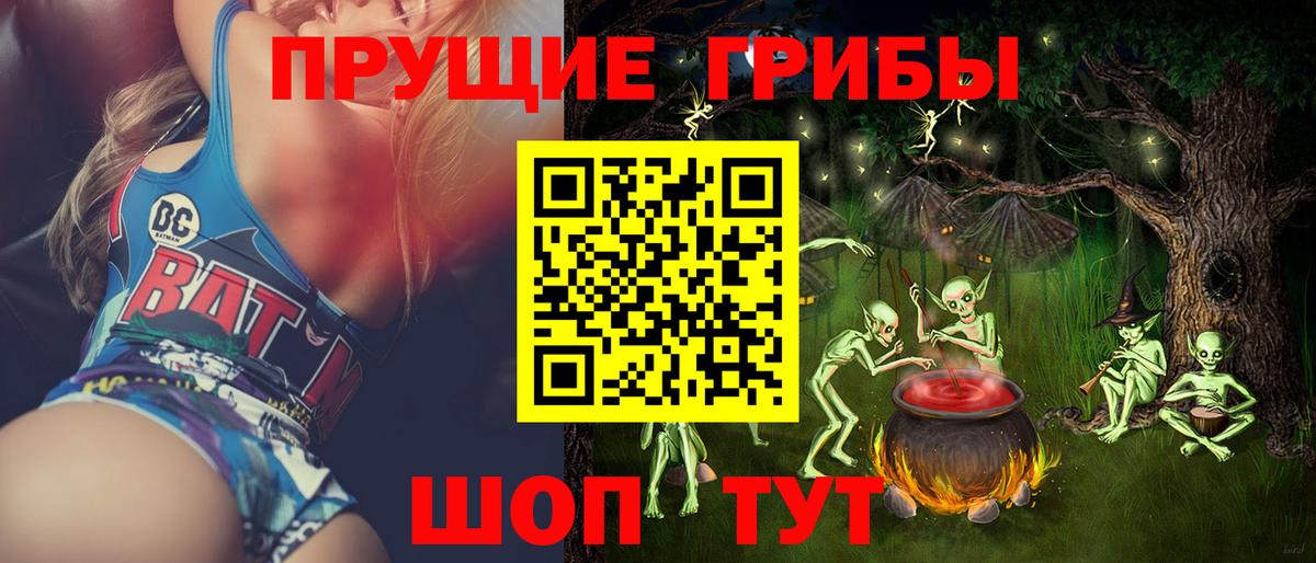 Псилоцибиновые грибы Psilocybine cubensis Сегежа